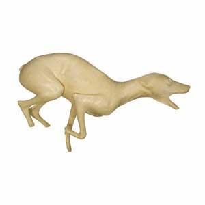 Coyote Form FC5