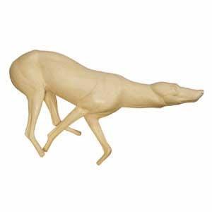 Coyote Form FC6