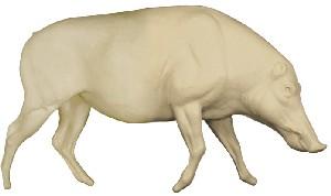 Wild Boar Life Size LWB1
