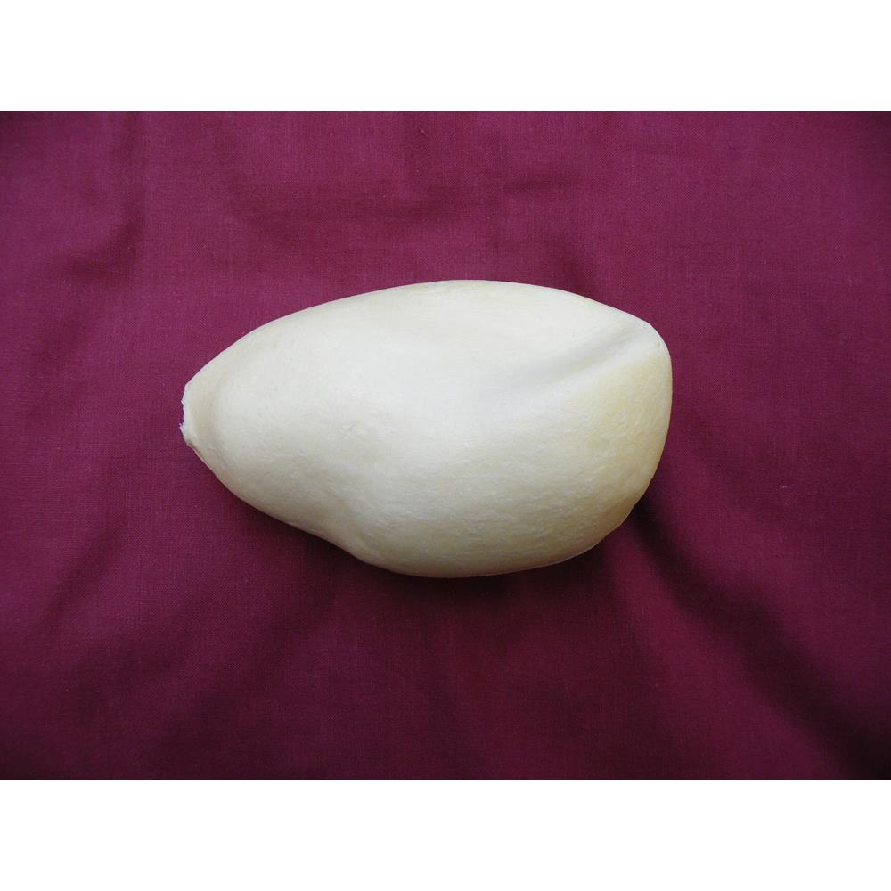 Hooded/Carrion Crow Body Form