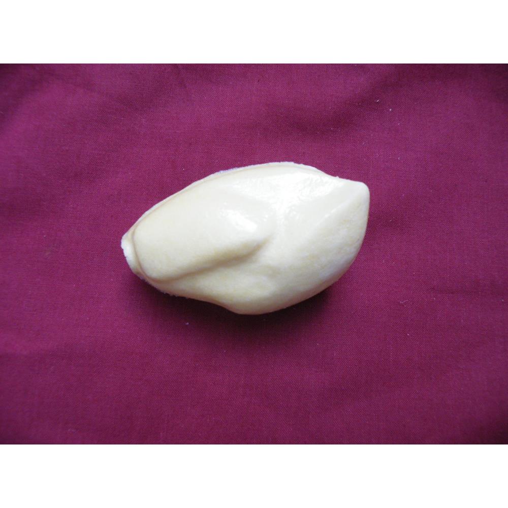 Jay Bird Body Form
