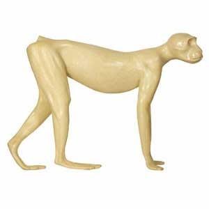 Vervet Monkey Life Size 2