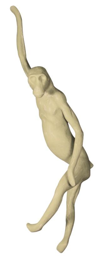 Vervet Monkey Life Size 1