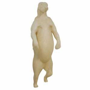 Black Bear Life Size