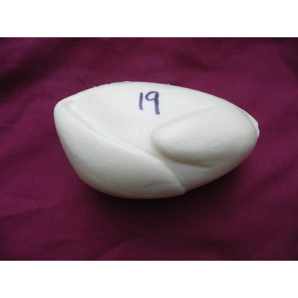 Female Raven Body Form