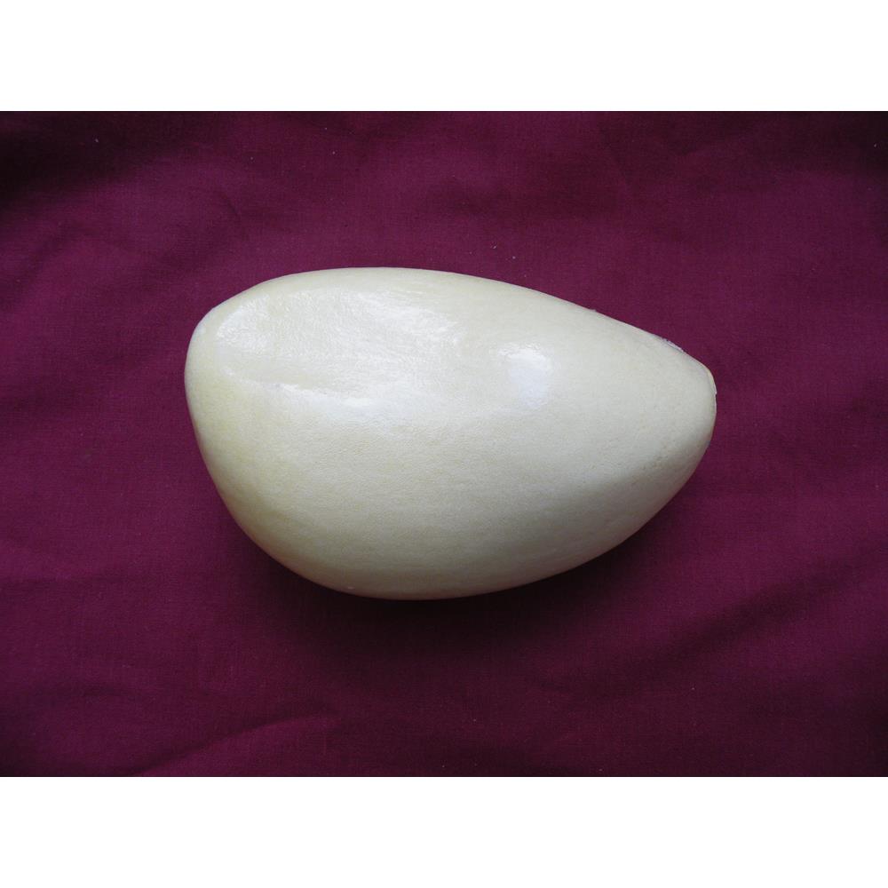 Ptarmigan Body Form