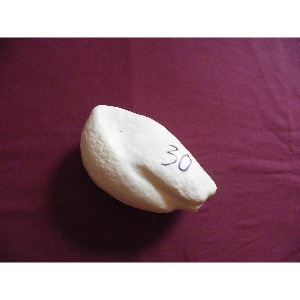 Pheasant Body Form