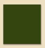 WA51 Medium Bass/Trout Green 4oz