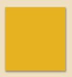 WA141 Yellow Ochre 4oz