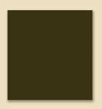 WA29 Black Umber 4oz