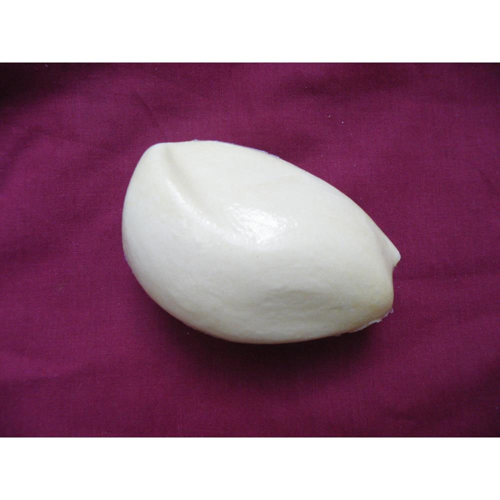 Woodcock Body Form