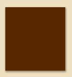 WA71 Burnt Umber 4oz