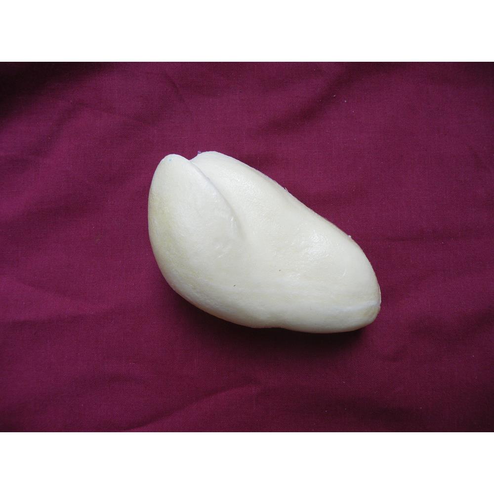 Male Tawny Owl Body Form