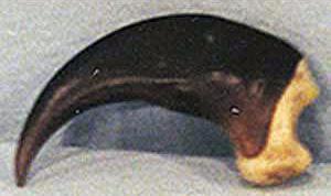 Reproduction Polar Bear Claw (Large )