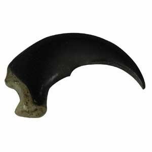 Reproduction Black Bear Claw Large