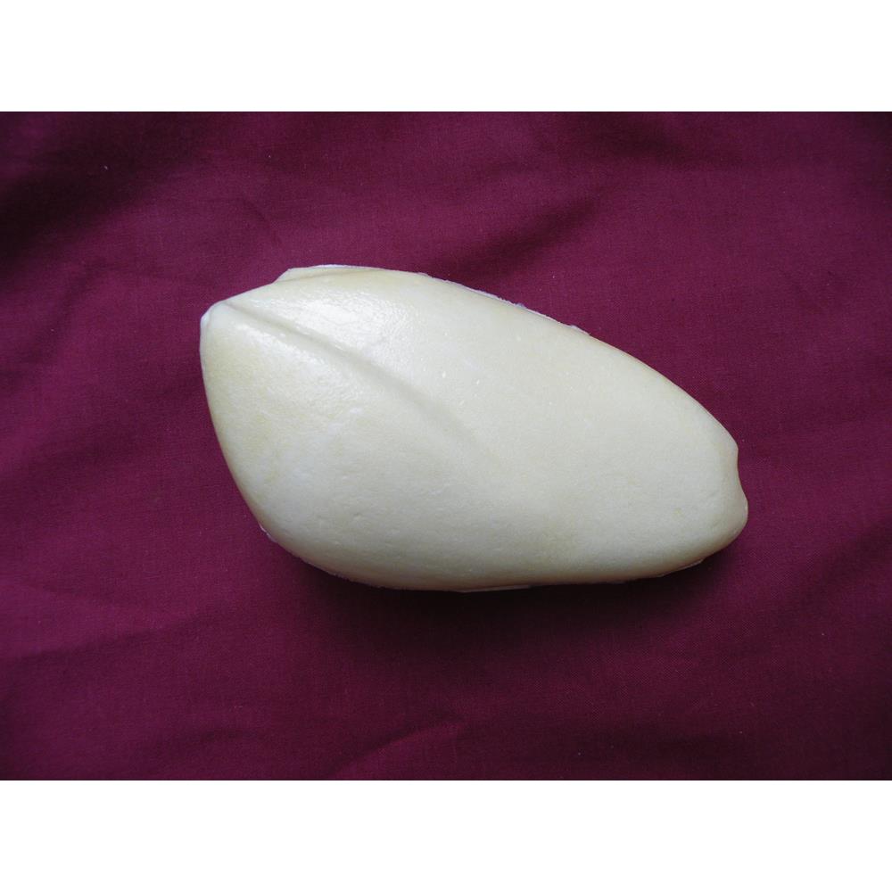 Buzzard Body Form