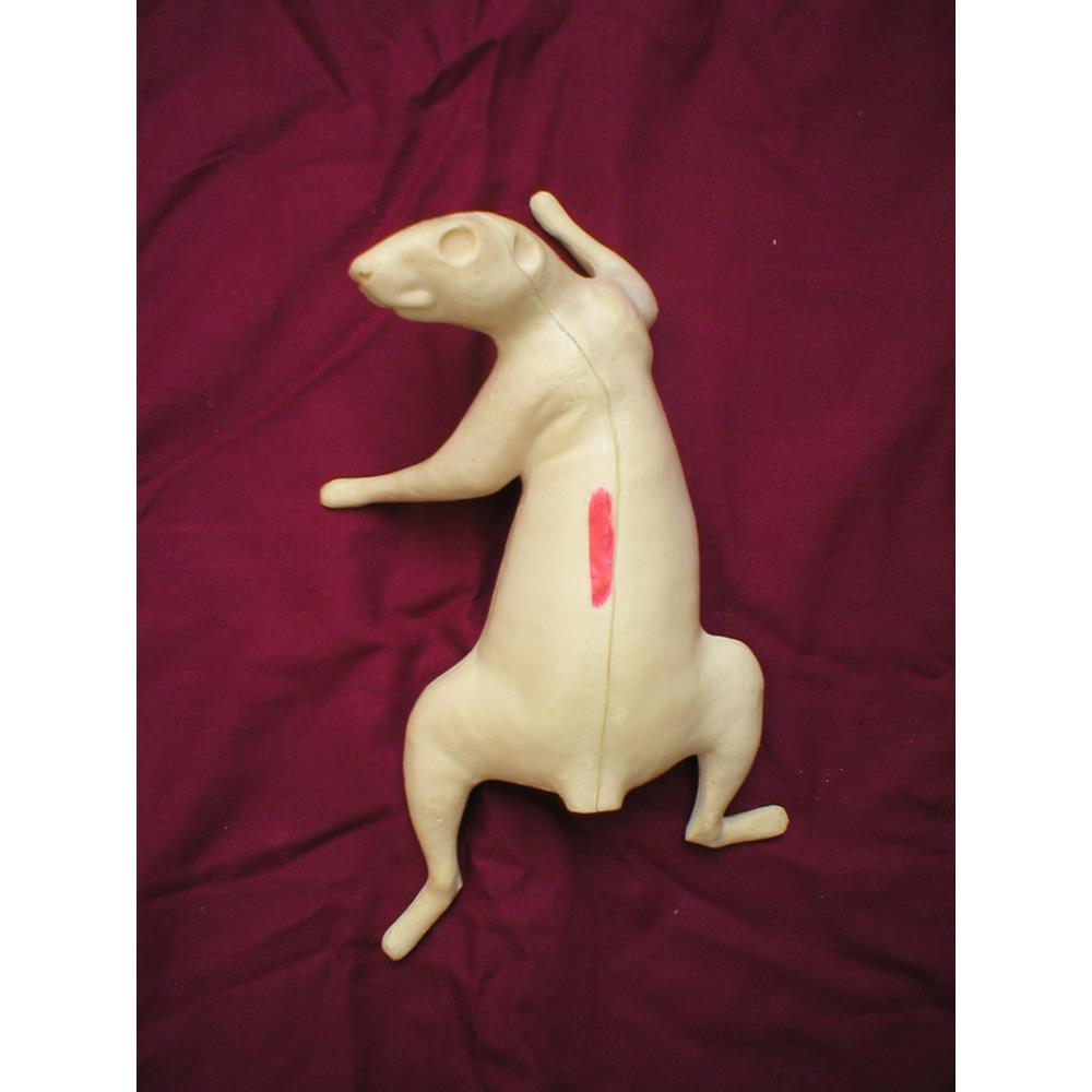 Squirrel Form No 1
