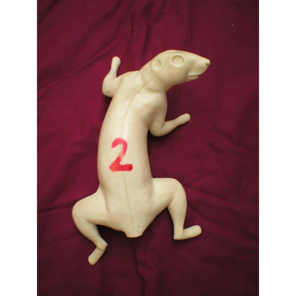 Squirrel Form No 2