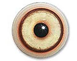 Competition Wolf Eyes 18/23mm