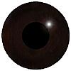 Aspheric Peregrine Eyes 12mm