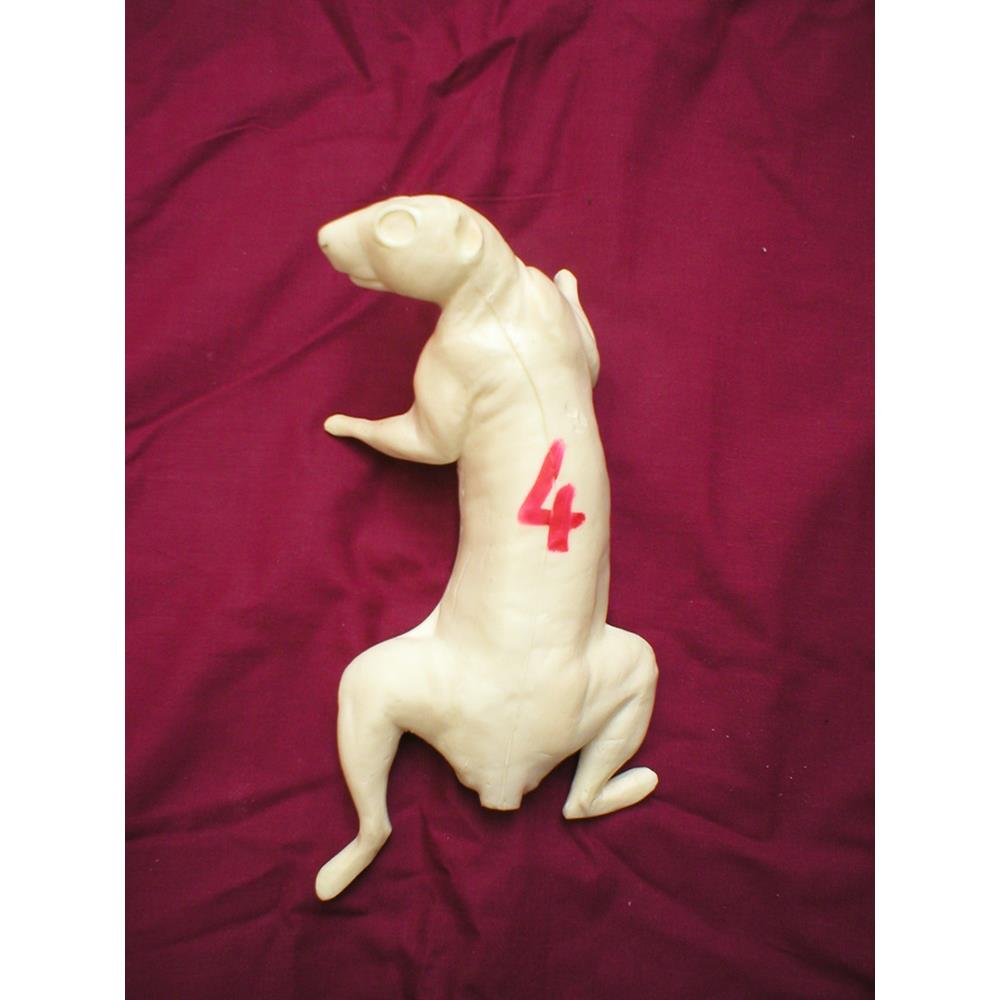 Squirrel Form No 4