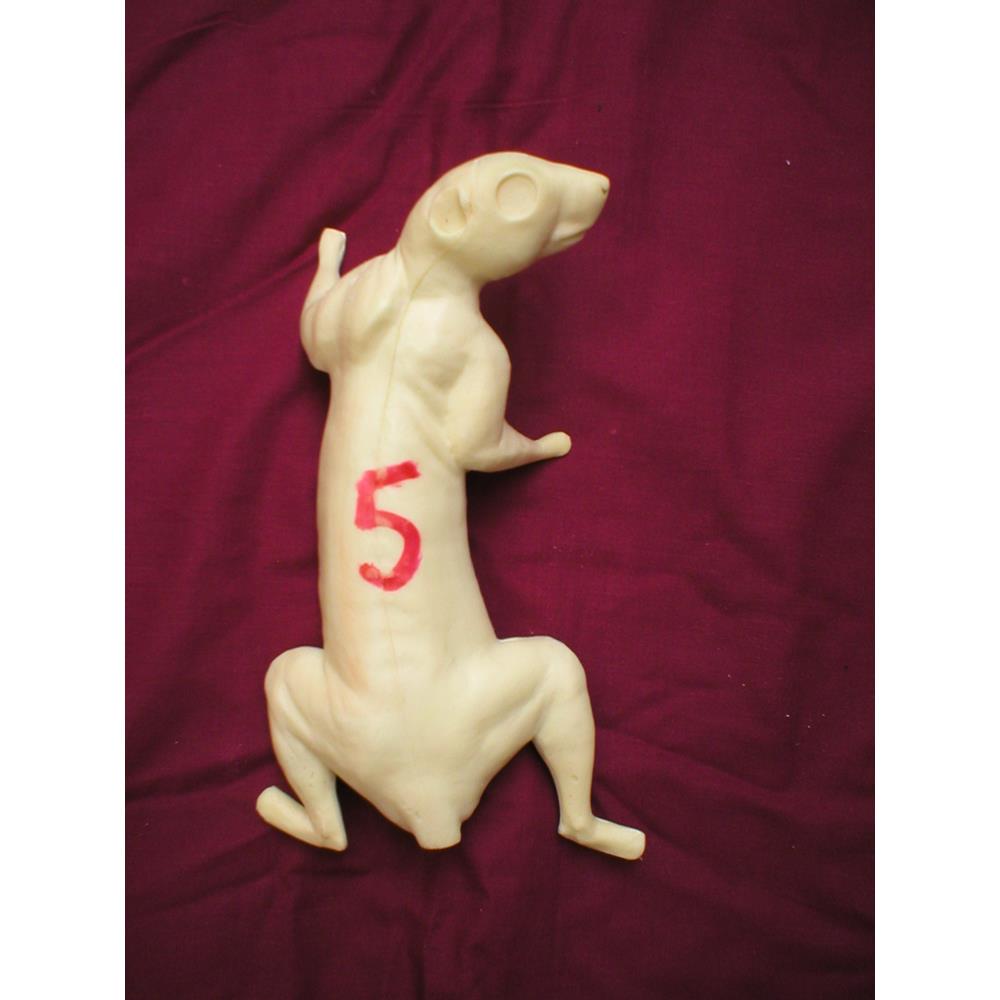 Squirrel Form No 5