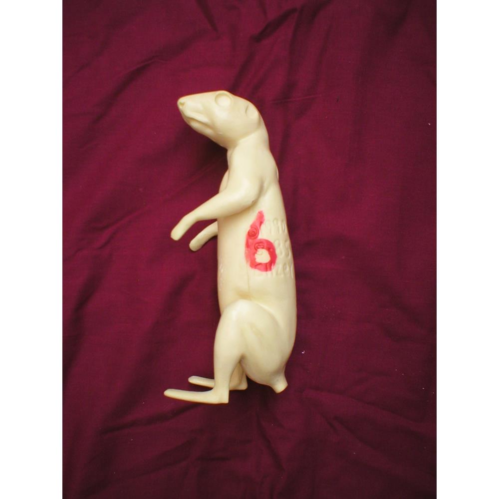 Squirrel Form No 6