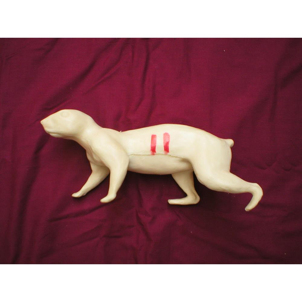 Squirrel Form No 11