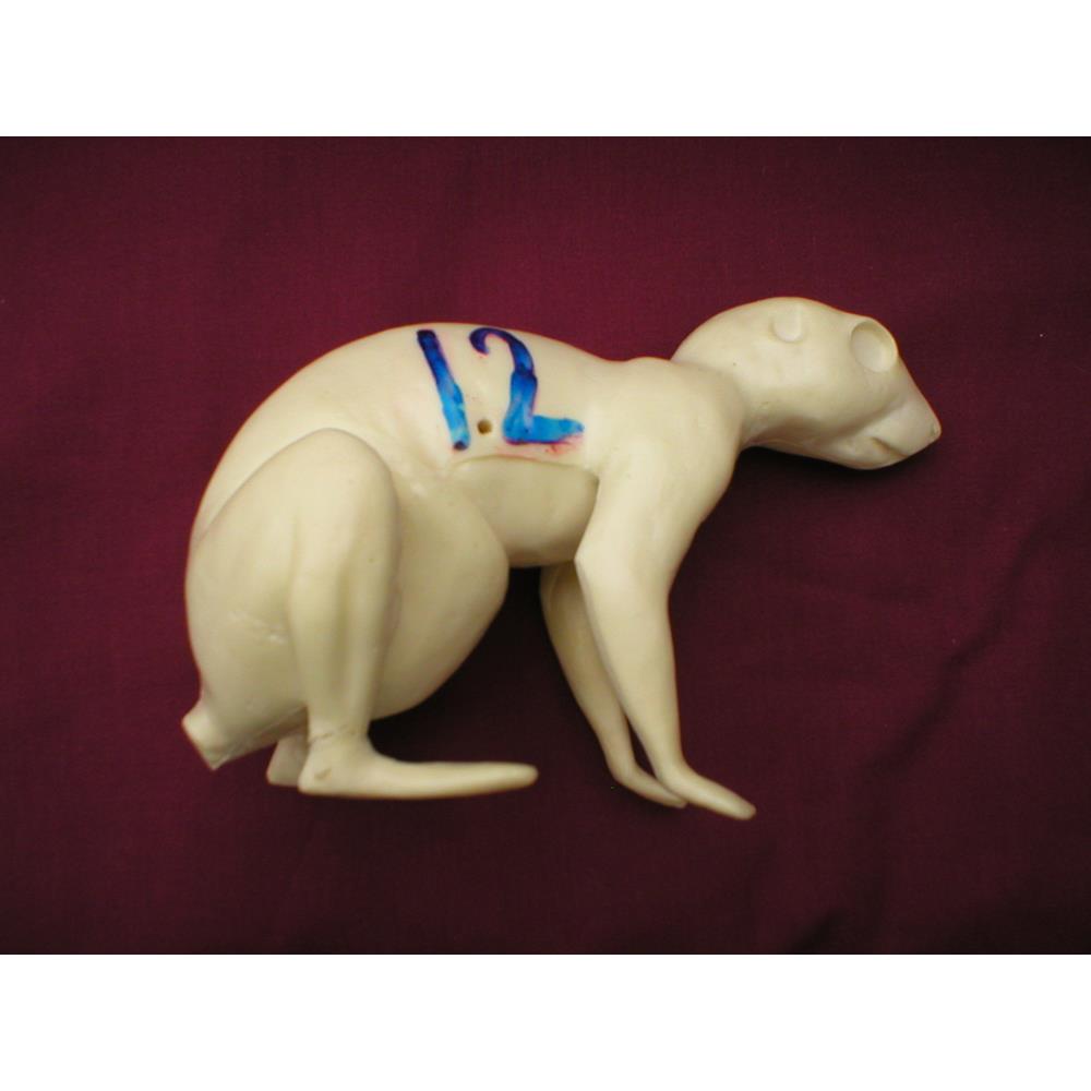 Squirrel Form No 12