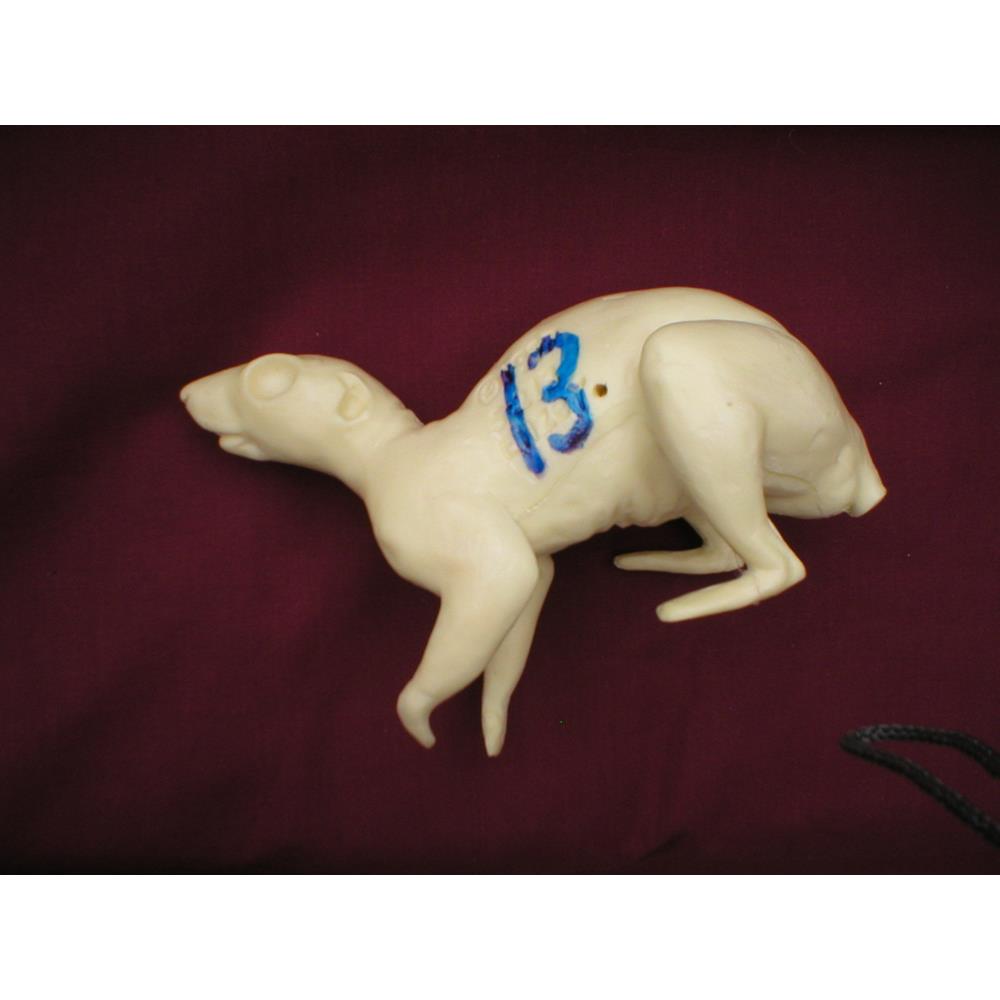 Squirrel Form No 13