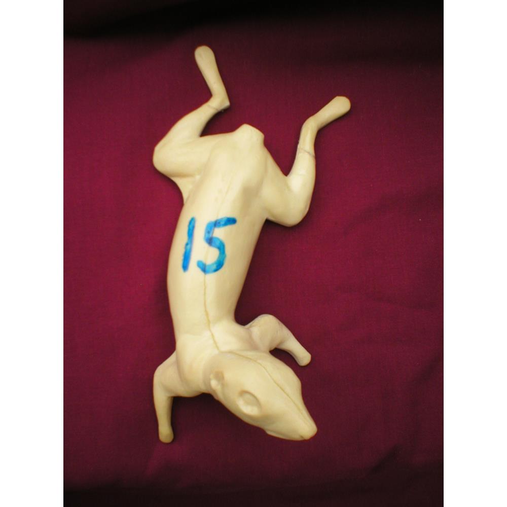 Squirrel Form No 15