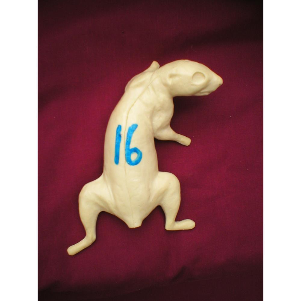 Squirrel Form No 16