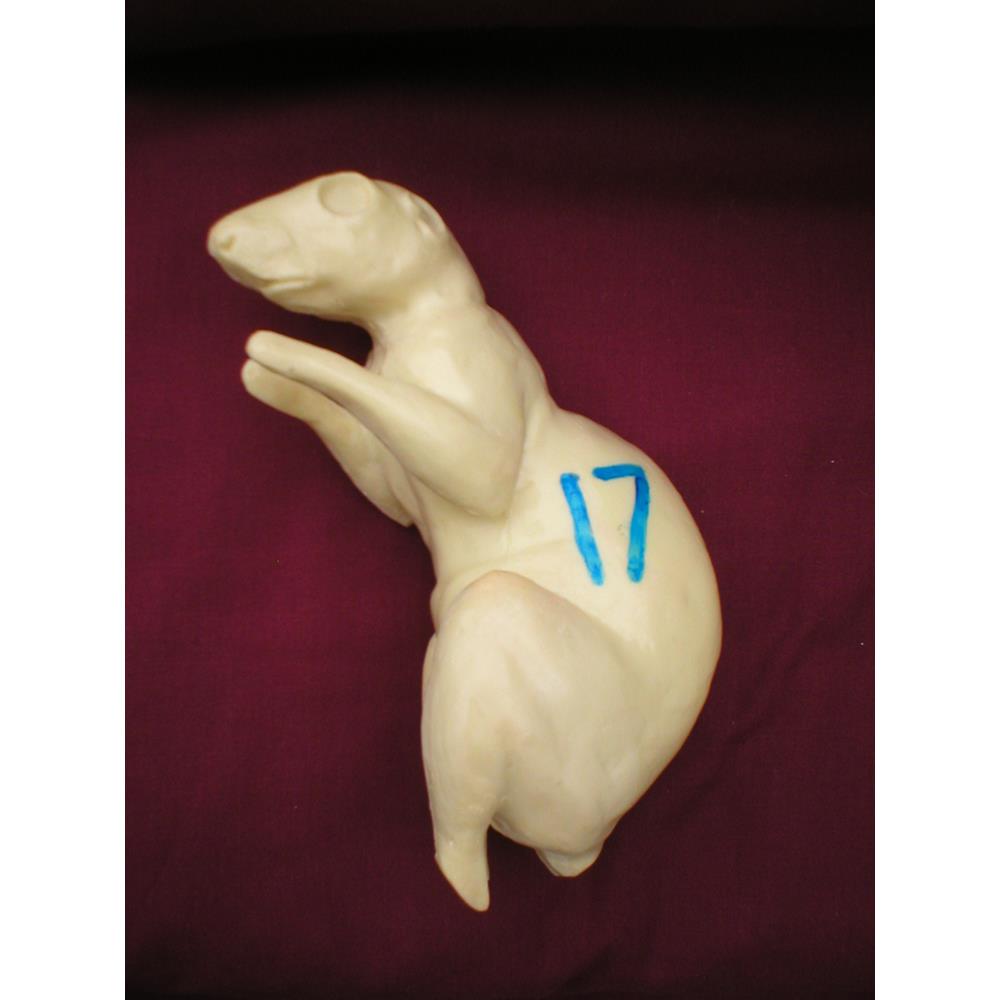 Squirrel Form No 17