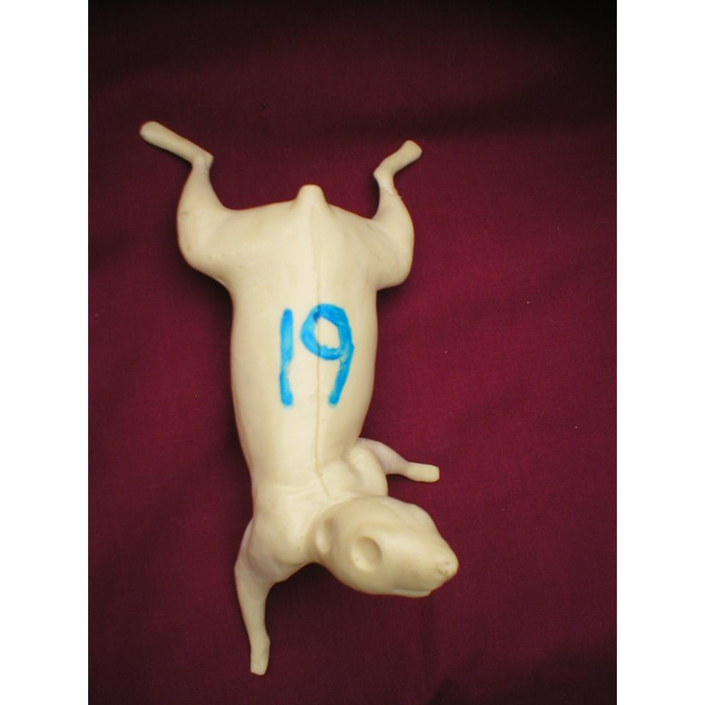Squirrel Form No 19