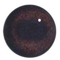 Glass Roe Deer Eyes  22mm