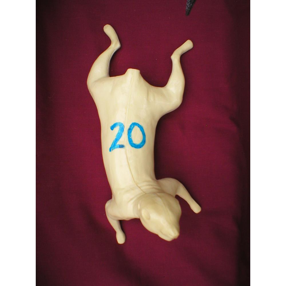 Squirrel Form No 20
