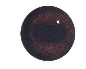 Muntjac Deer Eyes 20MM