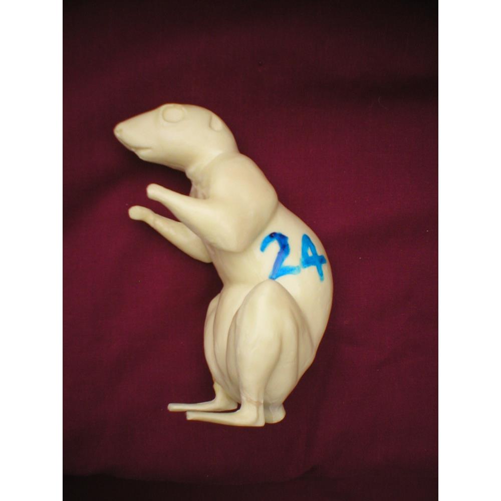 Squirrel Form No 24