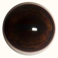 Dark Deer Eyes (Narrow Banded)