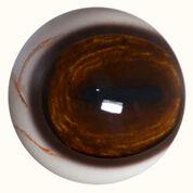 DC Prime Medium Deer Eyes