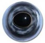 W/C Salmon Flexi Fish Eyes