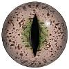 Aligator Eyes 20MM