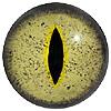 crocodile eye