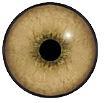 Tohickon Competition MT Lion Eyes 26MM