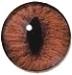 Fox Eyes VFE1