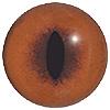 Fox Eyes LFE2