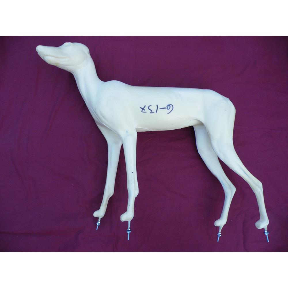 Coyote Form FC1
