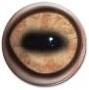 Lt Sheep/Goat Eyes 26/30MM