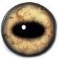 Lt Sheep/Goat Eyes 26MM