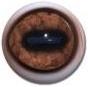 Hartebeeste Eyes 30/34MM